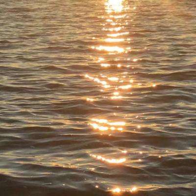 爱游戏平台app下载